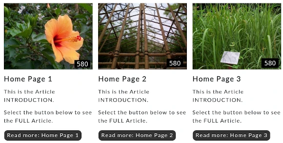 read more buttons in front end