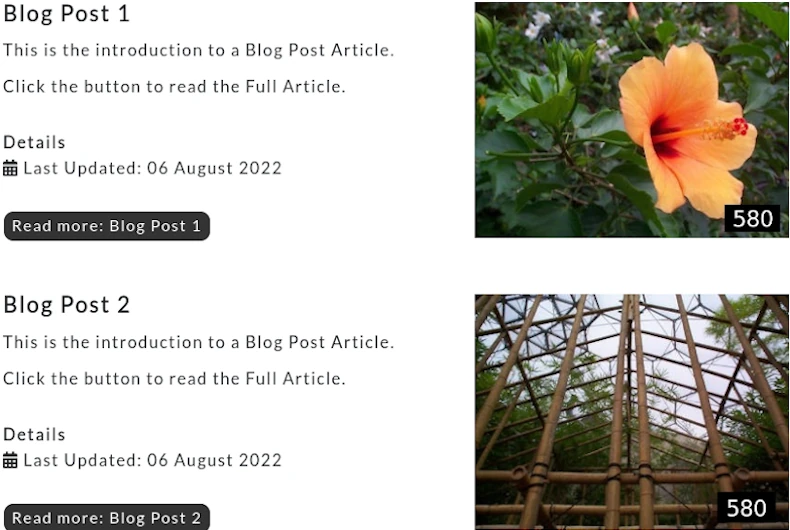 cat blog link article class image right