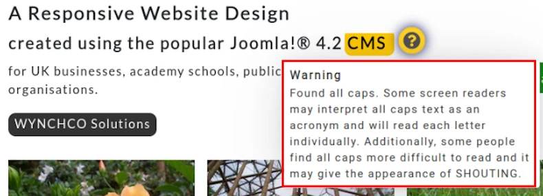 plugins accessibility checker front end 2
