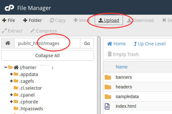 cpanel file manager upload images 1